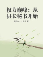 權力巔峰：從縣長秘書開始